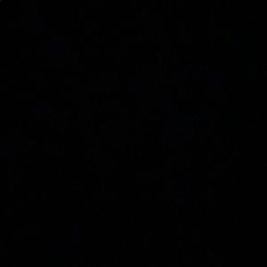 Meet your Posher, Curtis